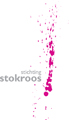 stokroos